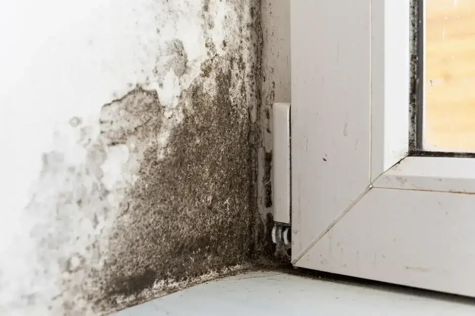 Water Damage in Downey, CA
